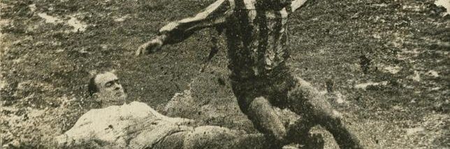 michelcotelo's profile banner image