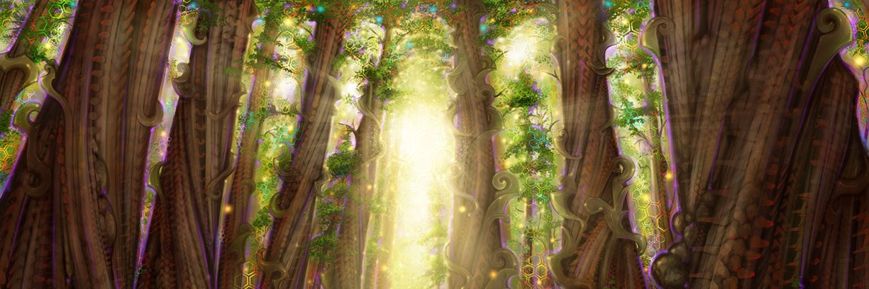 thedoctorwitch's profile banner image