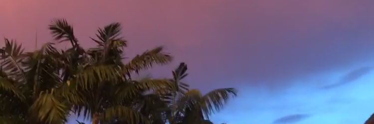 jasmineeg__'s profile banner image