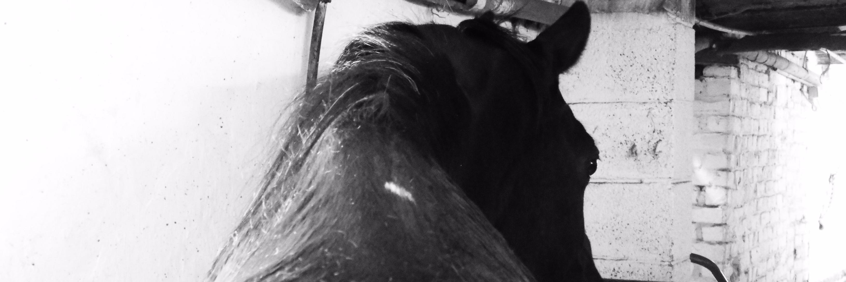Manon_271's profile banner image