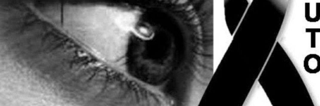 Lurdinhapimenta's profile banner image