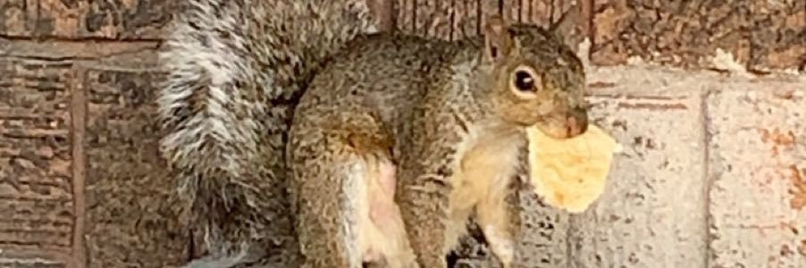 _kraylin_'s profile banner image