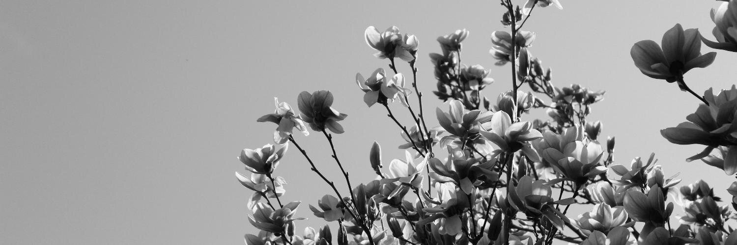 emilykayames's profile banner image