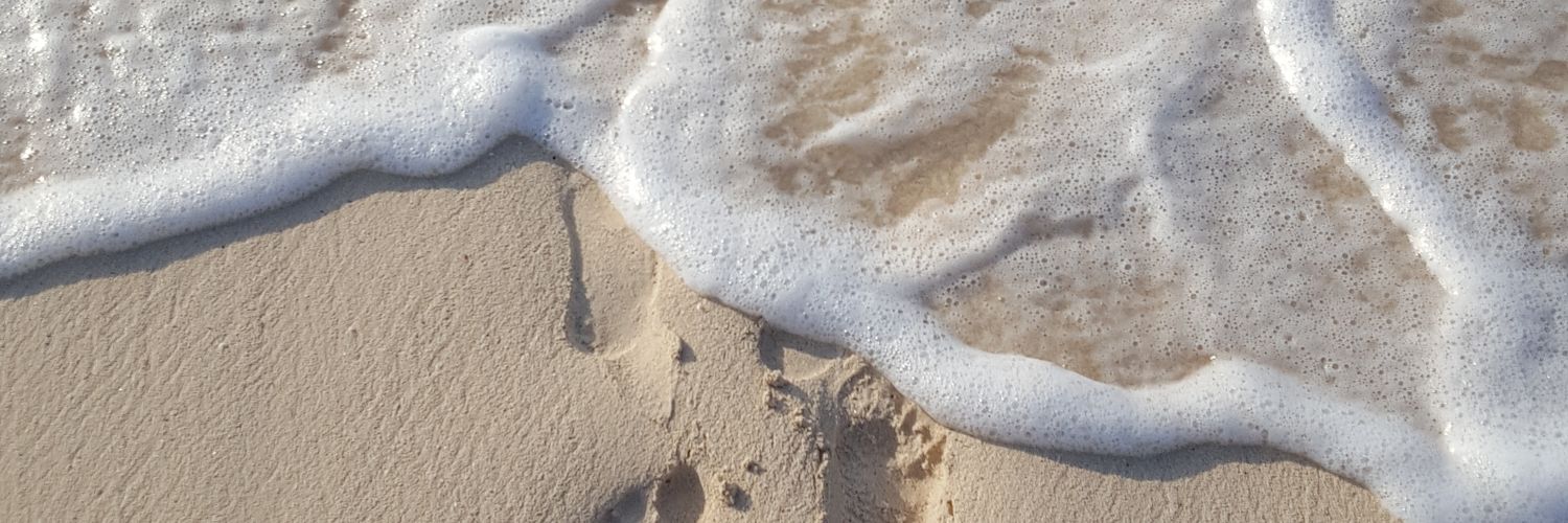 FL0R_M's profile banner image