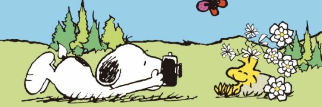 BEmma1498's profile banner image