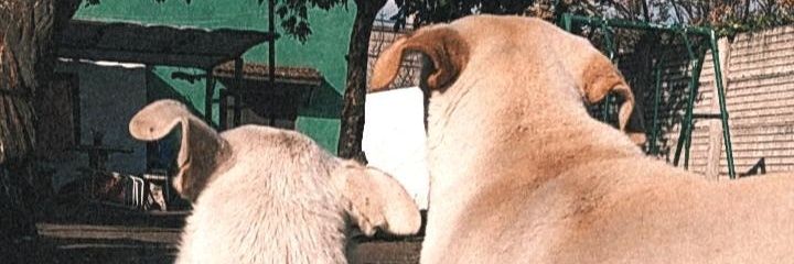 Abrilgimenez99's profile banner image