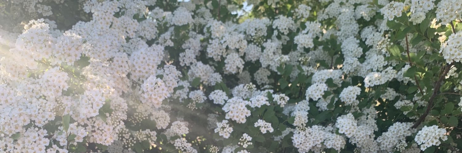 samijojo__'s profile banner image