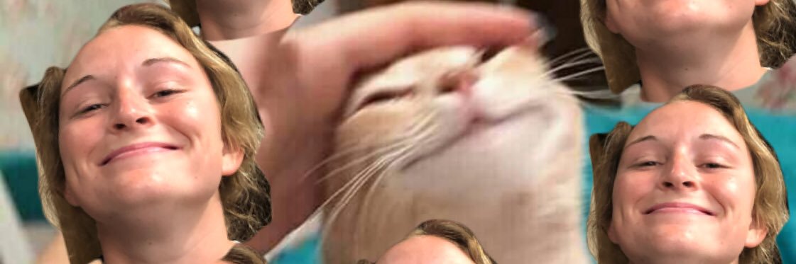 Rylee Bayless banner