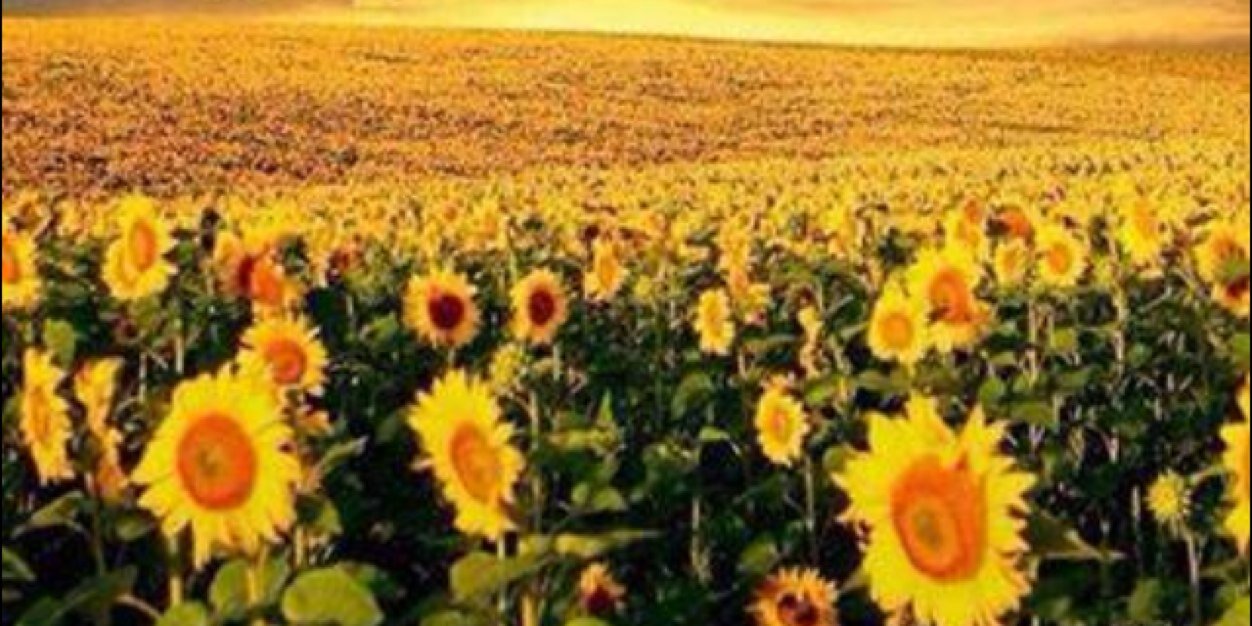 Taneeya_08's profile banner image
