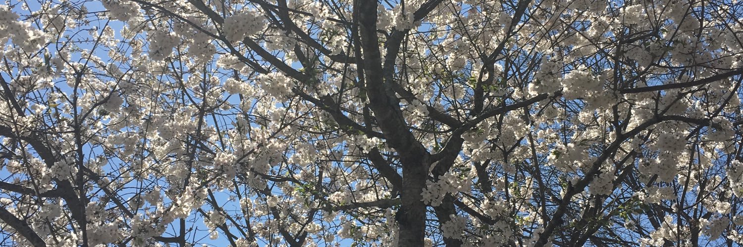 BrooklynnMilone's profile banner image