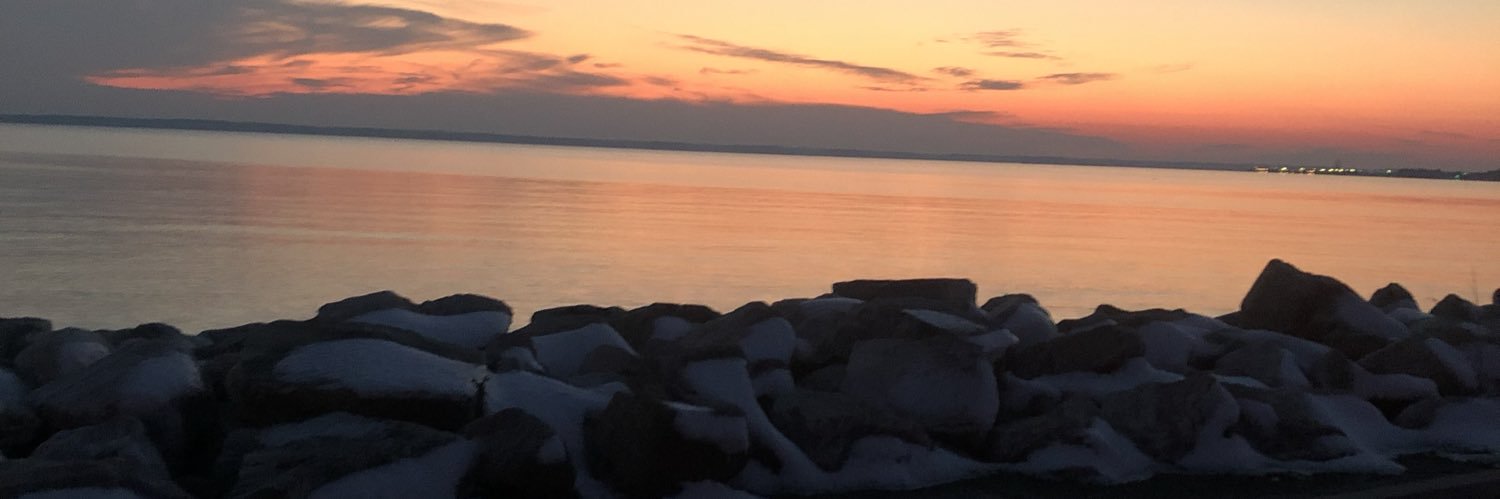 ToriJaniszewski's profile banner image