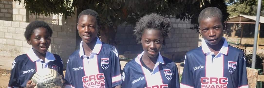 centralstaggies banner