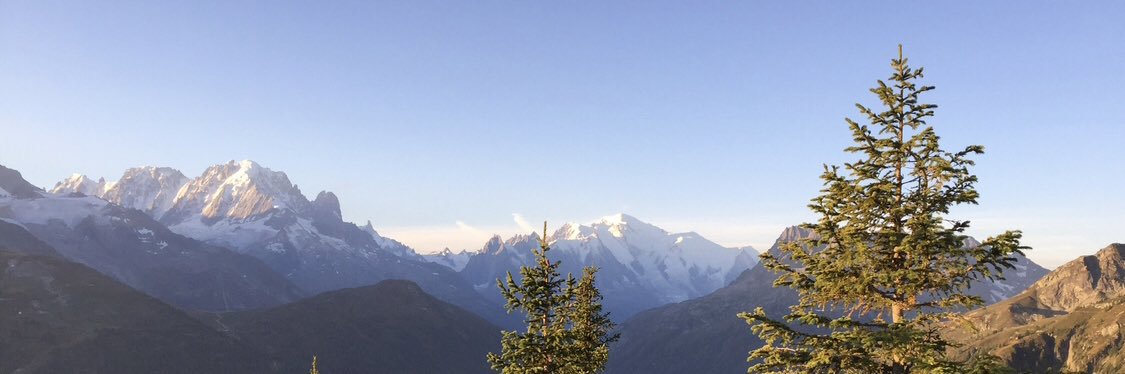 Connor French banner