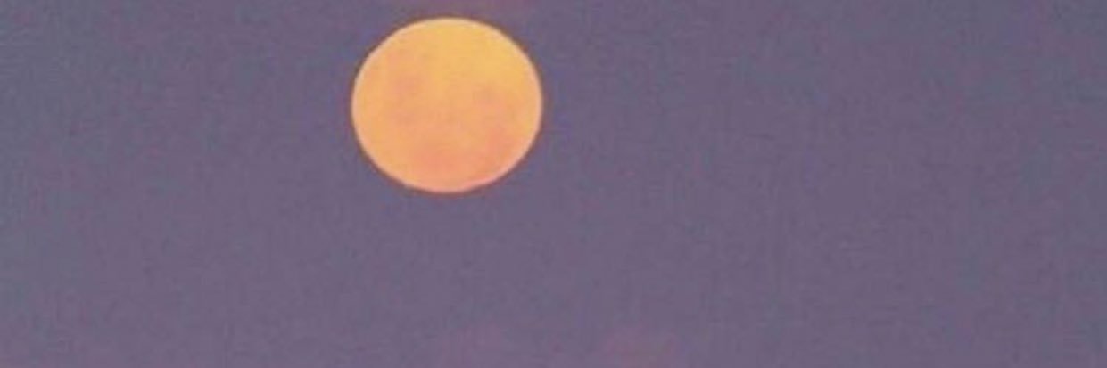 amber_wardd's profile banner image