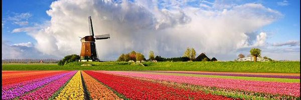 feather_info Profile Banner