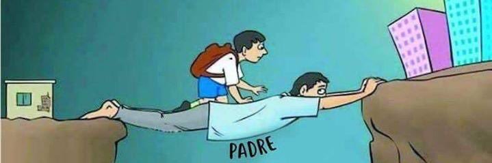 pedropalle's profile banner image
