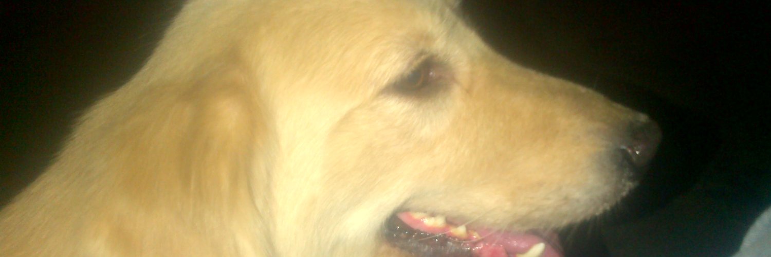 coromotogomez1's profile banner image
