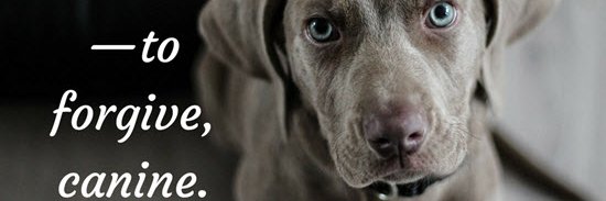 rbrown715's profile banner image
