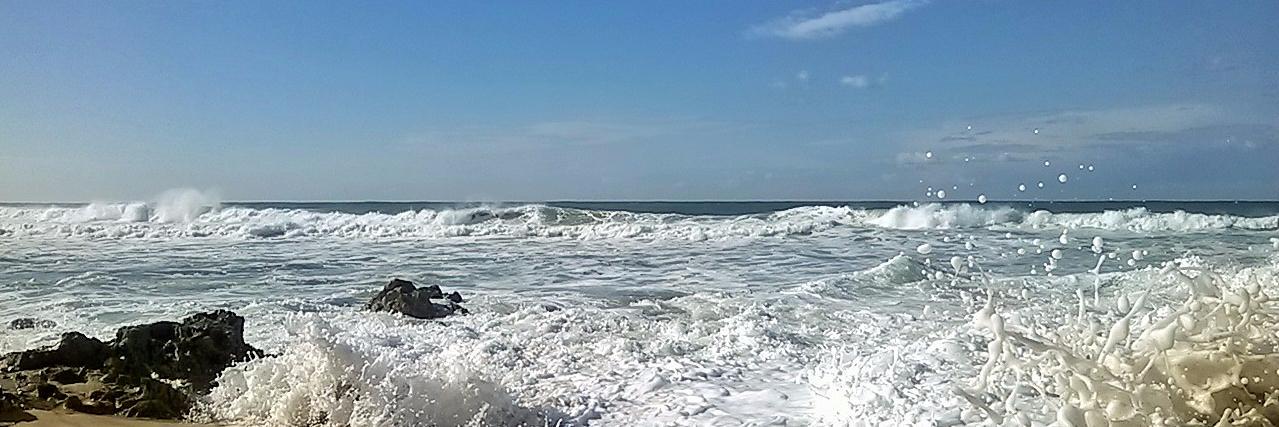 Daniela Ducato banner