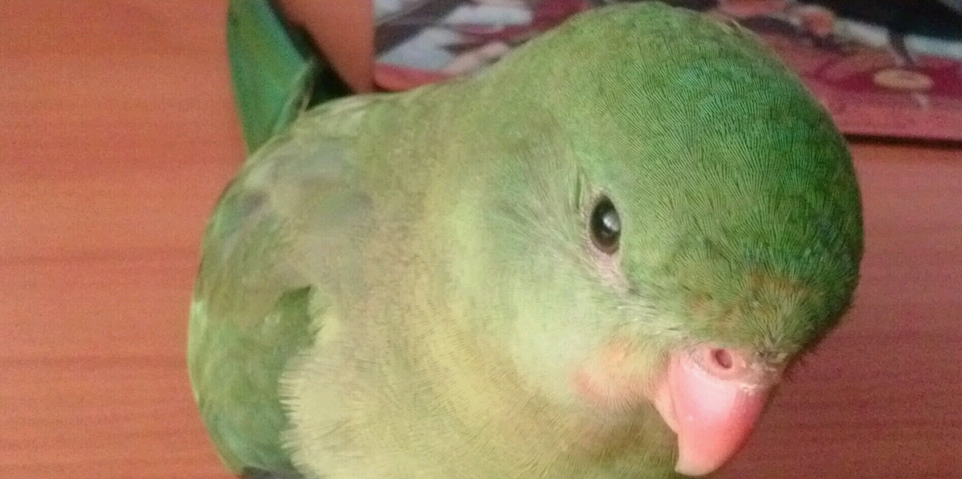 JVR22's profile banner image