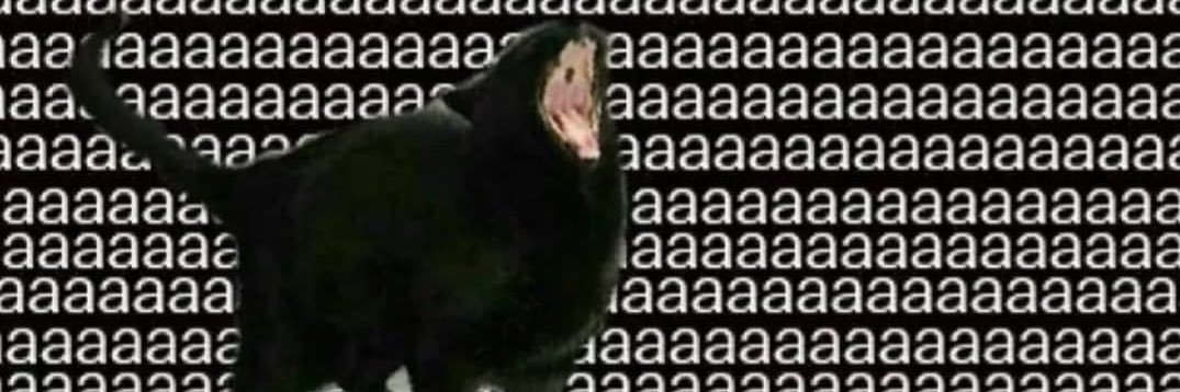 florbenitess's profile banner image