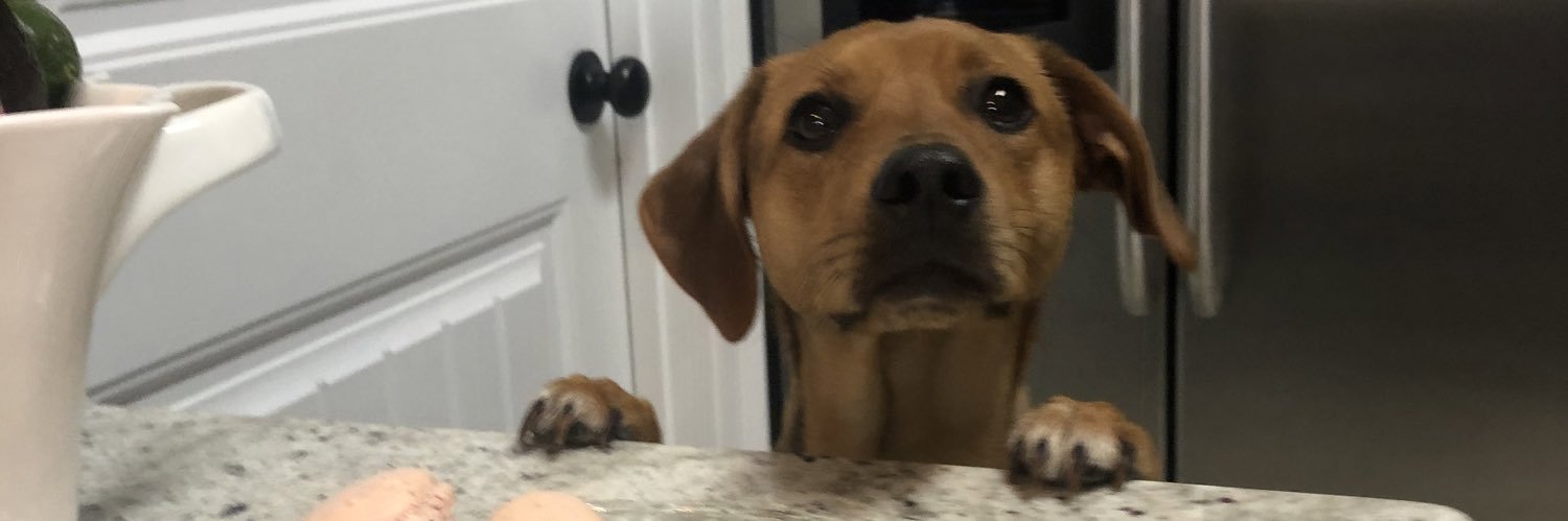 therealkjeezy's profile banner image