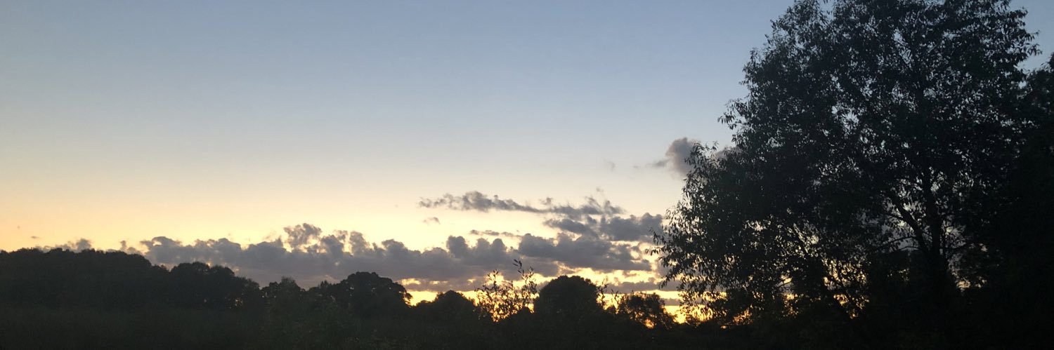 morselchip's profile banner image