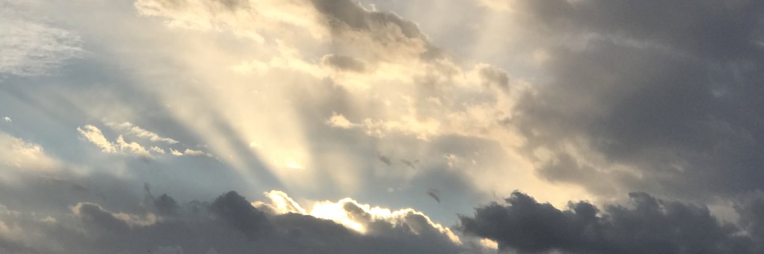 powerpuffbloos's profile banner image
