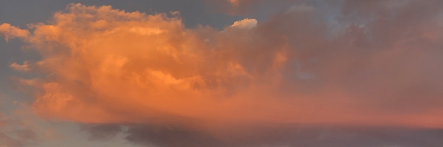 hardpass's profile banner image