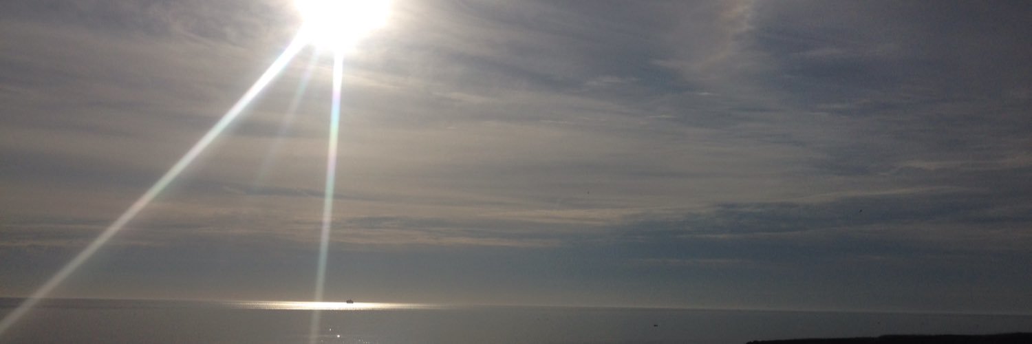 SusanEMcCabe's profile banner image