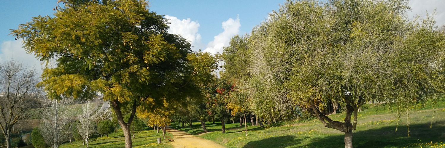 Alessandro Rainoldi banner