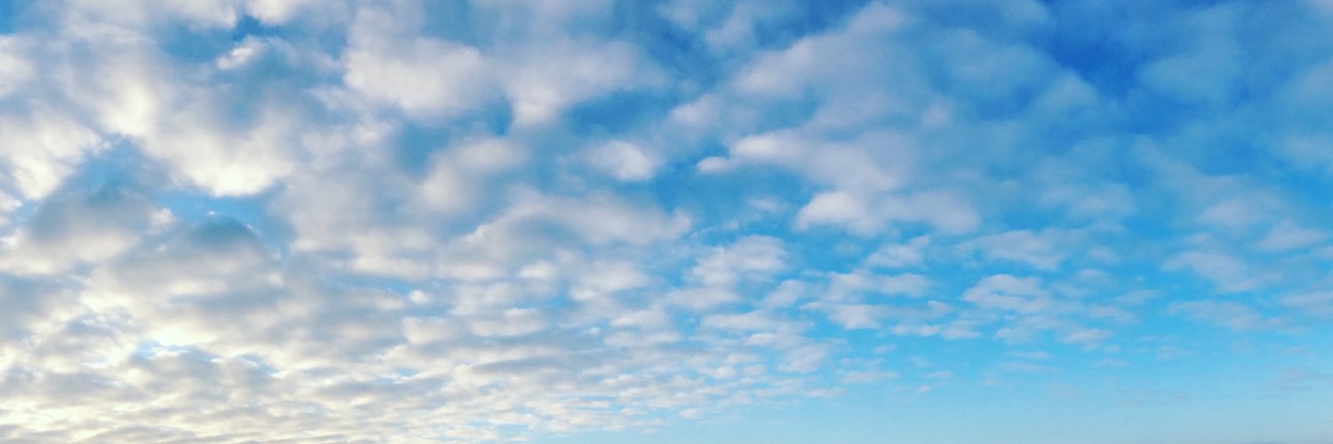 ShelbyOlstad's profile banner image