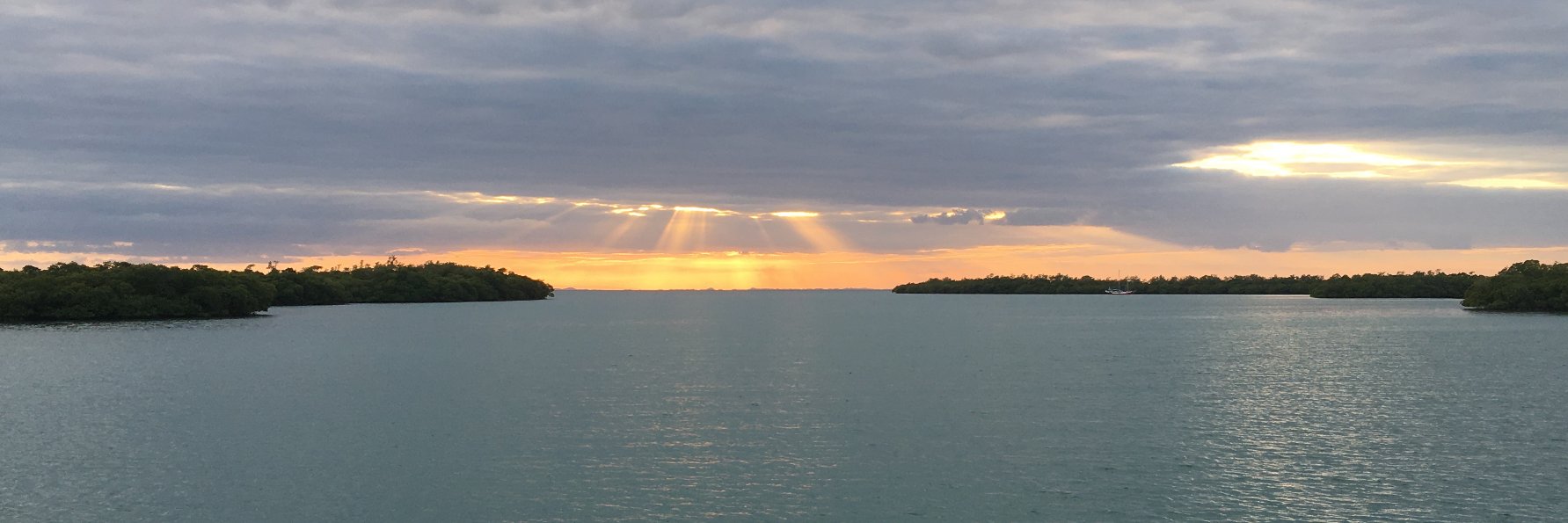 Jess Howard-Anderson banner