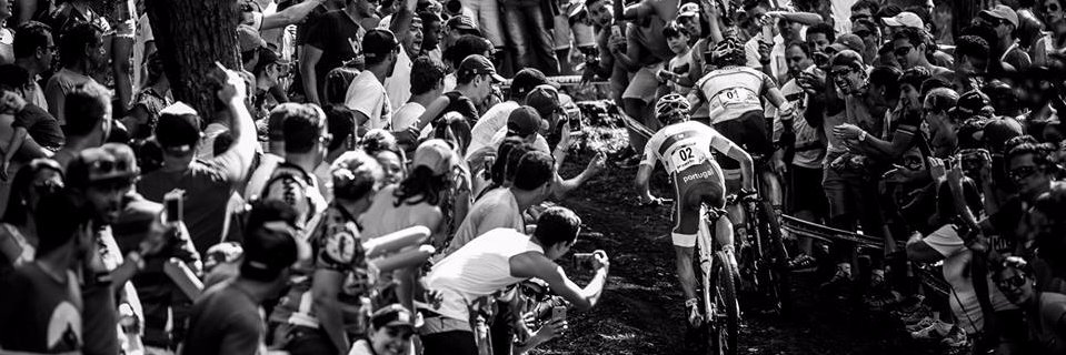 Flavio Guimarães banner