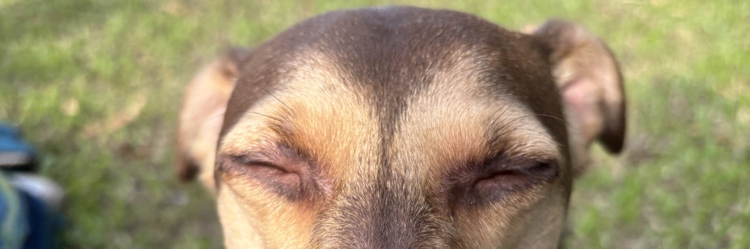 belleappelt's profile banner image
