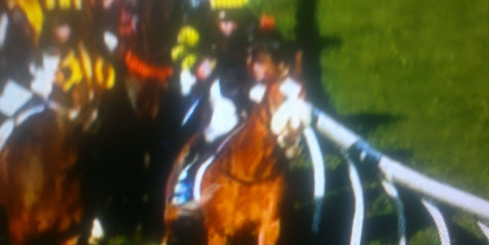 Nicholas Lockwood banner