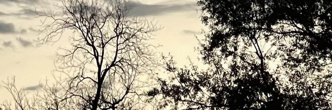 Journeyshands's profile banner image
