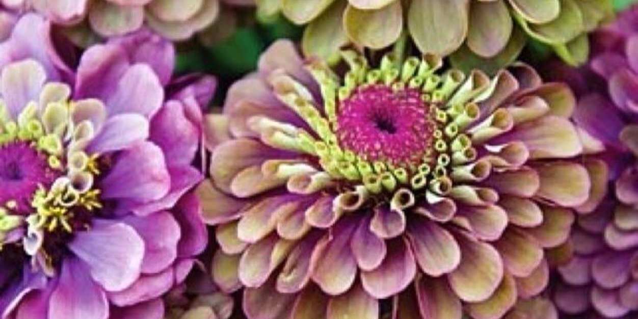 Mammymojo's profile banner image