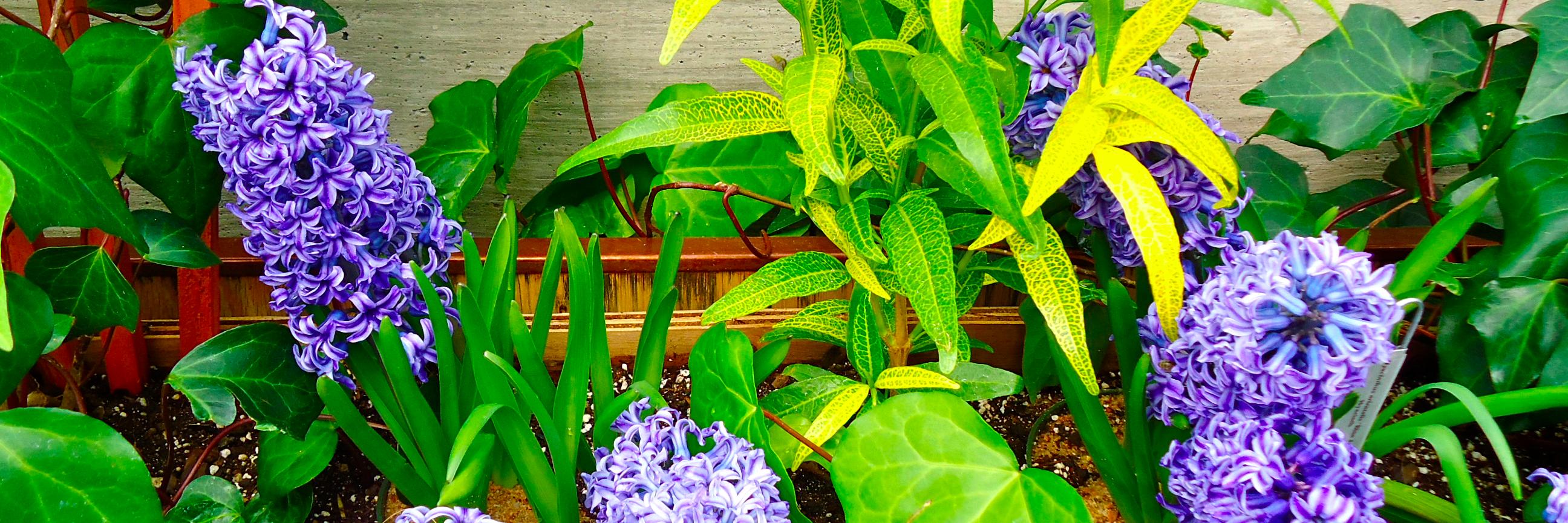 VitalityWithIn's profile banner image