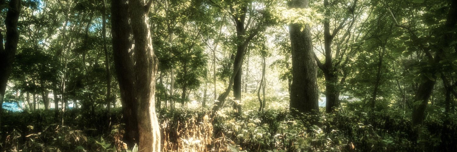 𖣐 N°0 ❤️‍🔥 banner