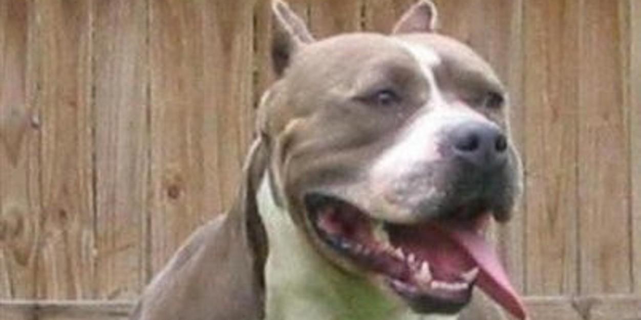 muliro_stanley's profile banner image