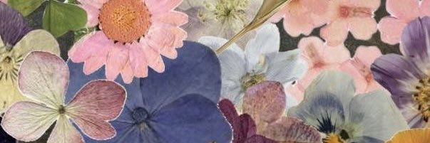 cande_led's profile banner image