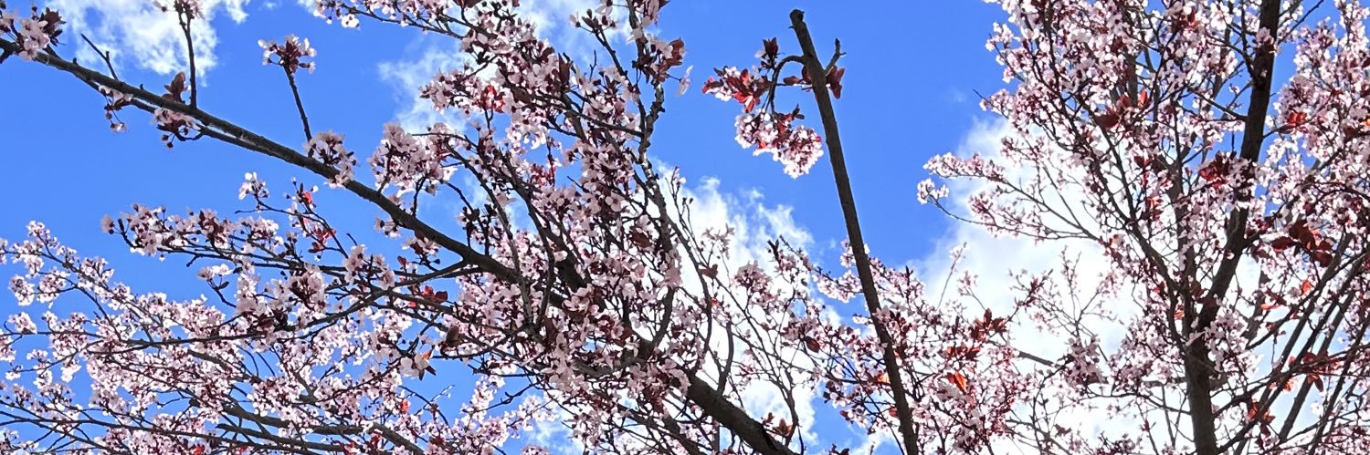 _QueenBrittt's profile banner image