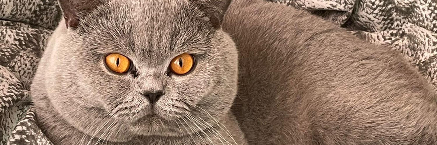 henker0025's profile banner image