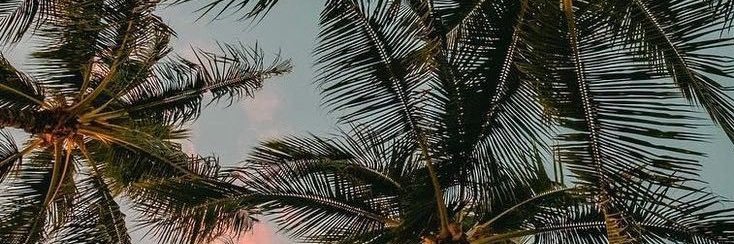 FatikhahSN's profile banner image