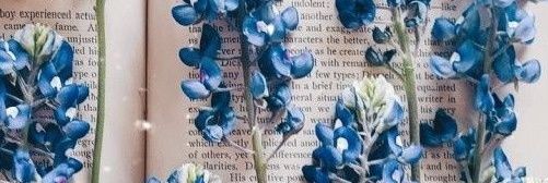 Ivy ˚୨୧˚ banner