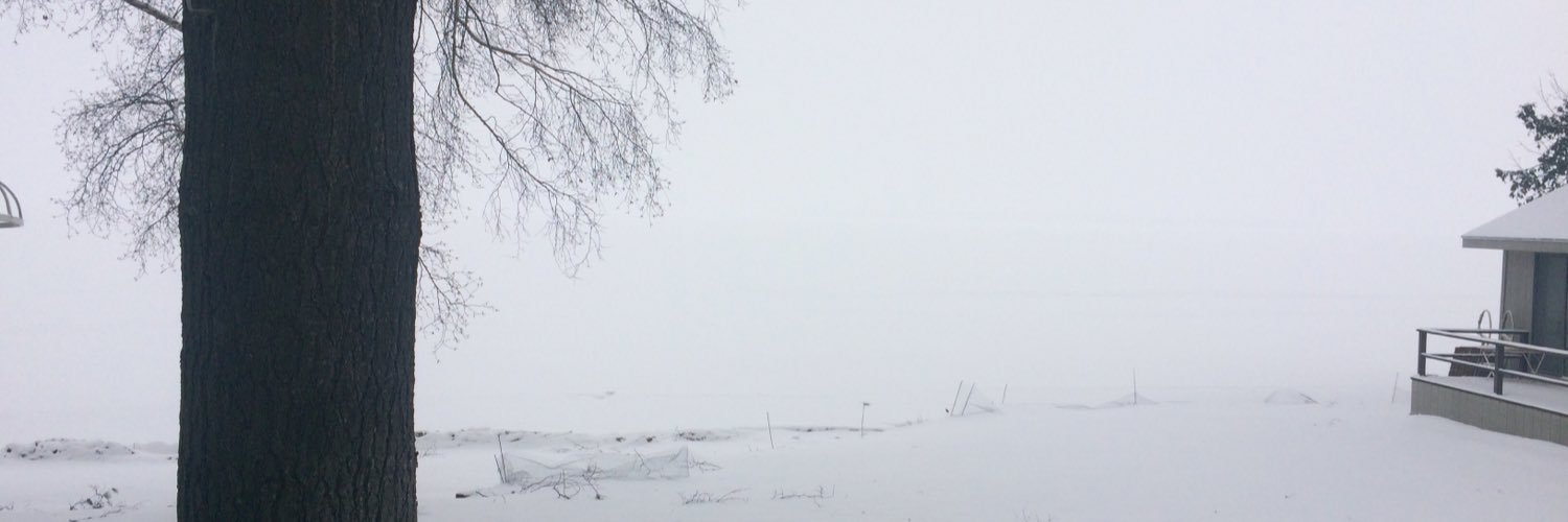 GilboaShai's profile banner image