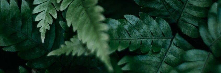 aidasv_'s profile banner image