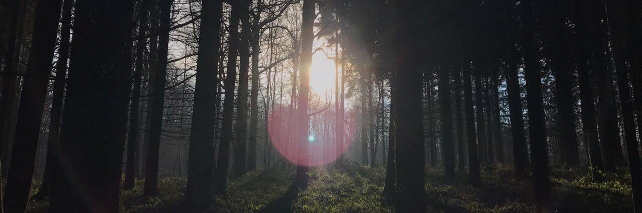 chrispeelsj's profile banner image