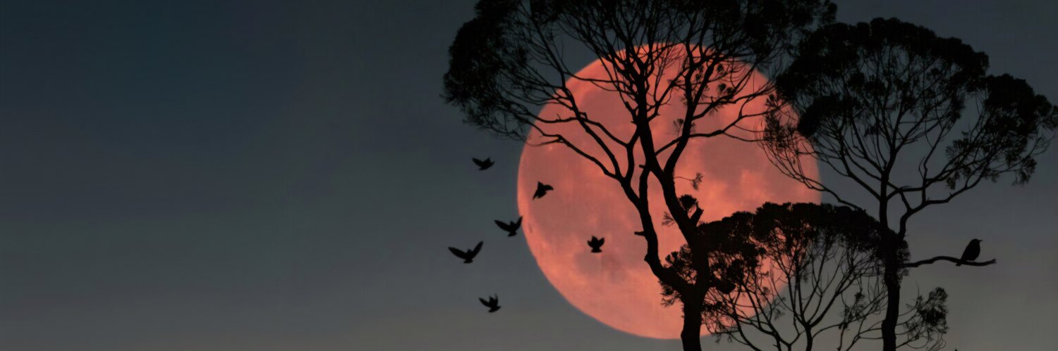 _m_brock's profile banner image
